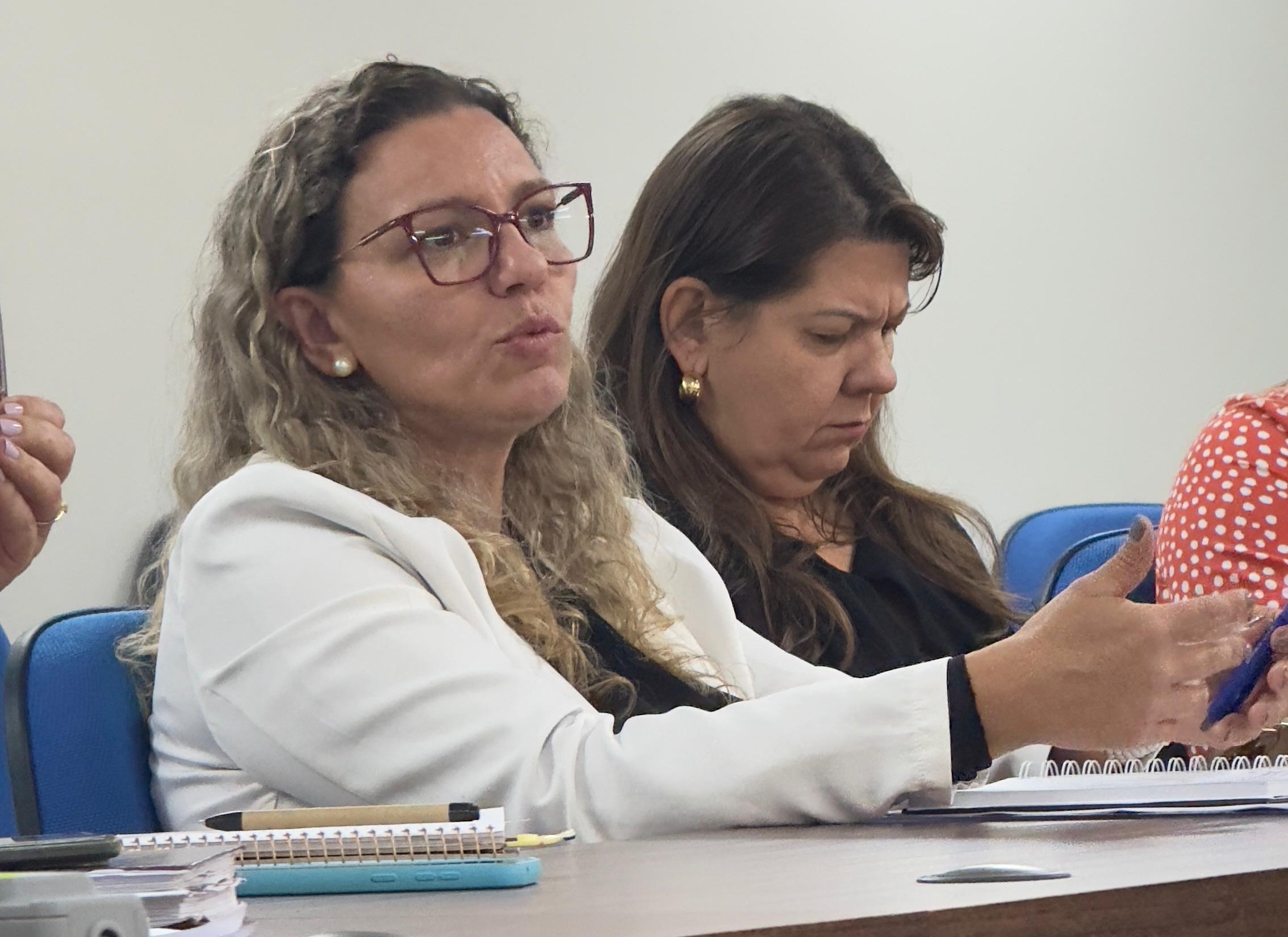 CISOP reúne gestores para avançar na implantação da Linha de Cuidado em Saúde Mental 